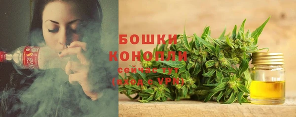 мескалин Богородицк