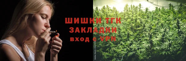 ПСИЛОЦИБИНОВЫЕ ГРИБЫ Белокуриха