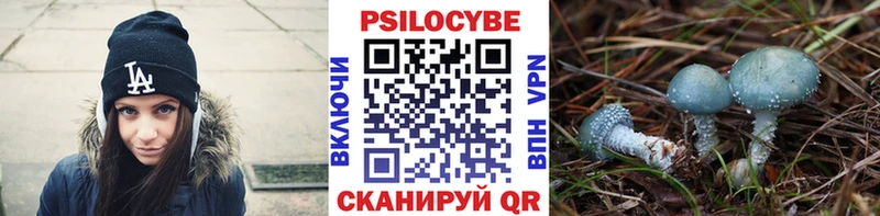 где найти наркотики  Ворсма  Псилоцибиновые грибы ЛСД 